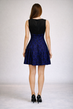 Jacquard Sleeveless Fit & Flare Mini Dress