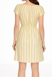 Stripe Short Sleeve Fit & Flare Dress