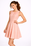 Gingham Skater Dress