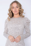 Full Sleeved Silver Sequin Dress